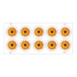 Global: African Daisy Stamps 2022