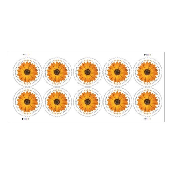 Global: African Daisy Stamps 2022