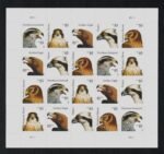 2012 85c Birds of Prey