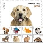Pets Forever Stamps 2016