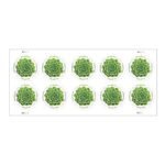 Global: Green Succulent Stamps 2017