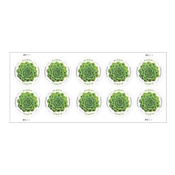 Global: Green Succulent Stamps 2017