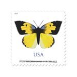 California Dogface Butterfly Stamp 2019
