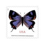 Colorado Hairstreak Stamps 2021Colorado Hairstreak Stamps 2021