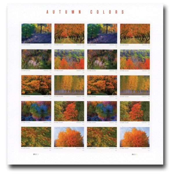 2024 Autumn Colors