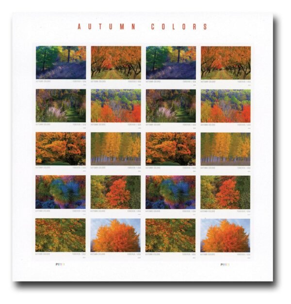 2024 Autumn Colors
