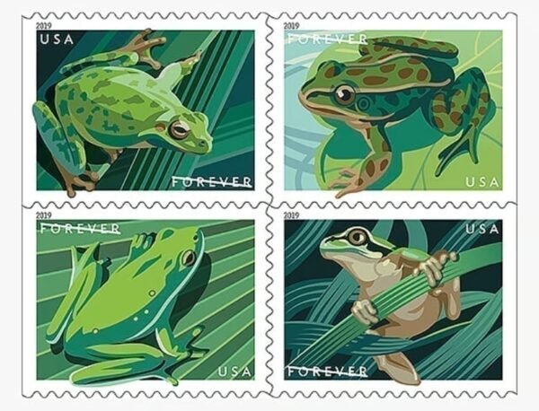 North American frogs USPS first class stamps (2019)
