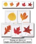 2025 Forever Postcard Rate - Vibrant Leaves (from sheet)