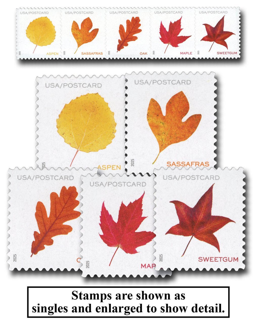 2025 Forever Postcard Rate - Vibrant Leaves (from sheet)
