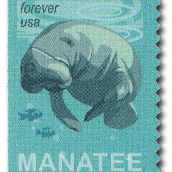 2024 First-Class Forever Stamp - Save Manatees